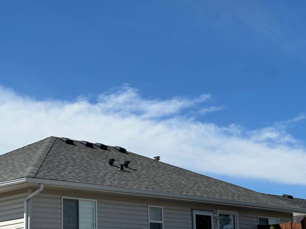Steel Roofing in Arden On The Severn, MD